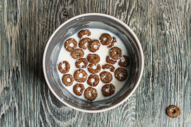 Čokoládové kroužky s mlékem. - Fotografie, Obrázek