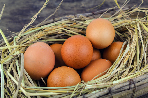 Brązowy jaja w gniazdo kurzych jaj na podłoże drewniane - Zdjęcie, obraz