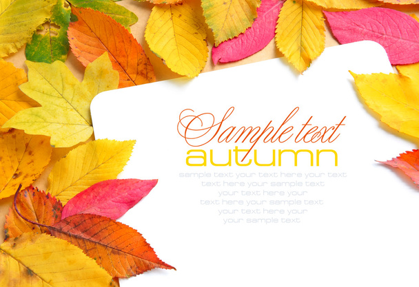 όμορφα φθινόπωρο φύλλα και μια ευχετήρια κάρτα - Φωτογραφία, εικόνα