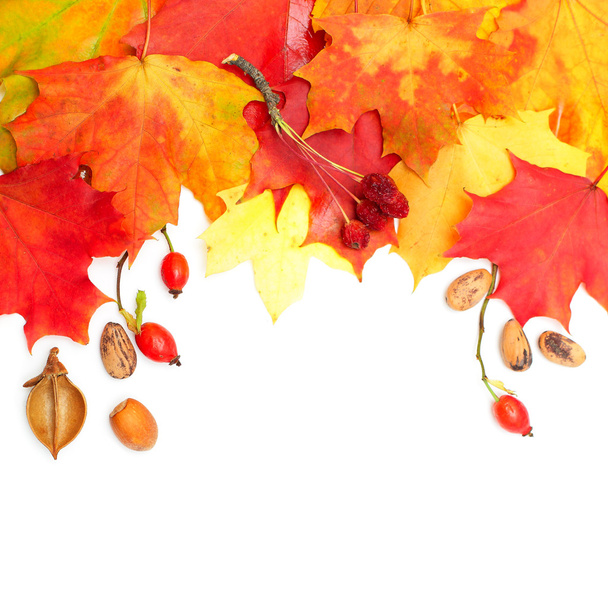 Autumn design background - Fotografie, Obrázek