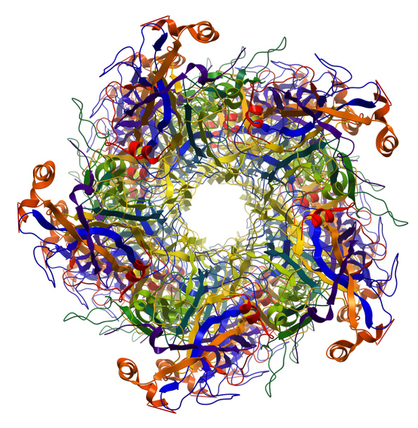 hlavní kapsid protein l1 lidský papilloma virus typu 16 molecul - Fotografie, Obrázek