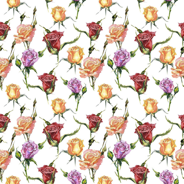 Wildflower rose flower pattern in a watercolor style isolated. - Fotoğraf, Görsel