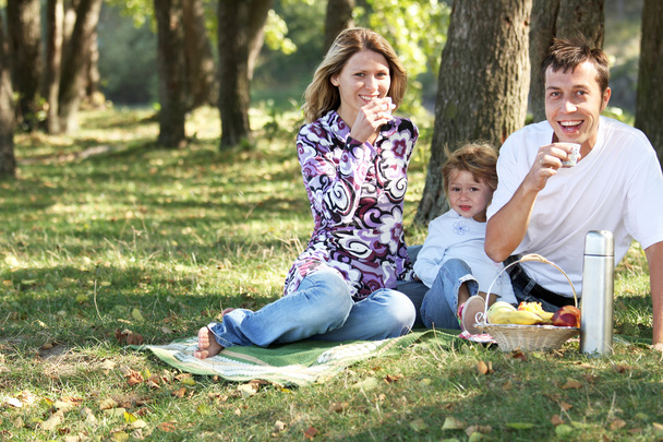 Family at picnic - Φωτογραφία, εικόνα
