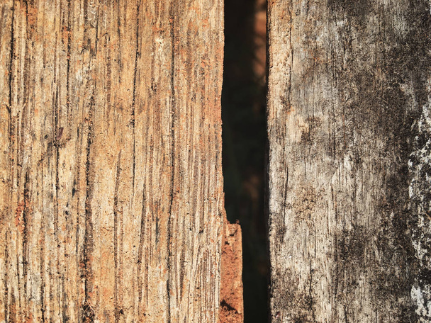 Close up van hout achtergrond - Foto, afbeelding
