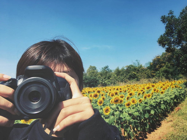 Kobieta za pomocą aparatu aby zrobić zdjęcie z pola słoneczników - Zdjęcie, obraz
