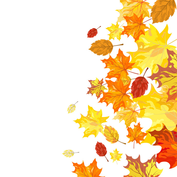 Autumn maple leaves - Vektor, Bild