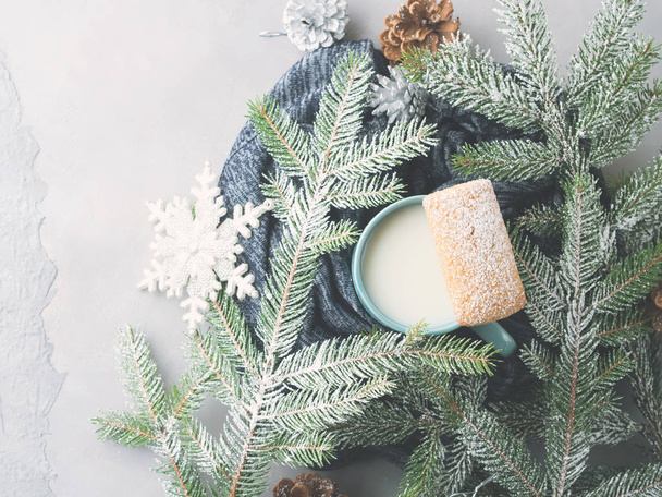 Mléko a sušenky pro zimní vánoční svátky. Pohled shora - Fotografie, Obrázek