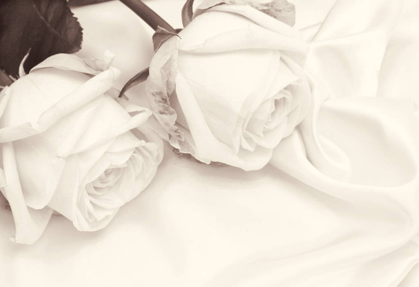  Beautiful white roses on white silk as wedding background. In S - Valokuva, kuva