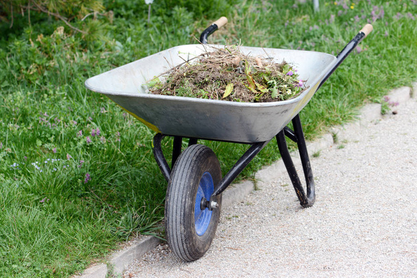 pulizia e giardinaggio con carriola
 - Foto, immagini