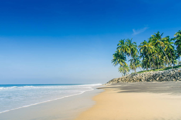 Gyönyörű trópusi tengerparton. Fekete beach Varkala, India - Fotó, kép
