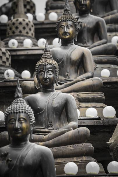 Rij van boeddhabeelden bij Ganagarama tempel, Colombo, Sri Lanka.  - Foto, afbeelding