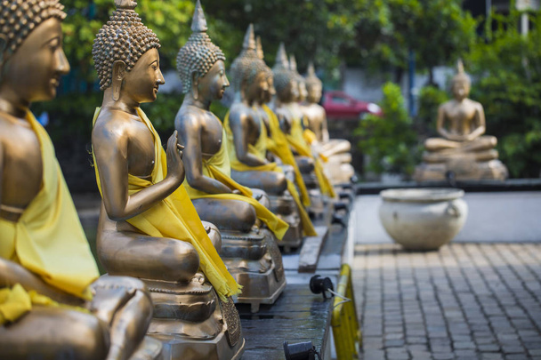 Статуи Будды в храме Сима Малака, Коломбо, Шри-Ланка
 - Фото, изображение