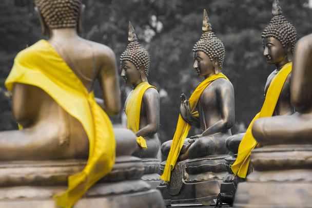 Sochy Buddhy v Seema Malaka Temple, Colombo, Srí Lanka - Fotografie, Obrázek