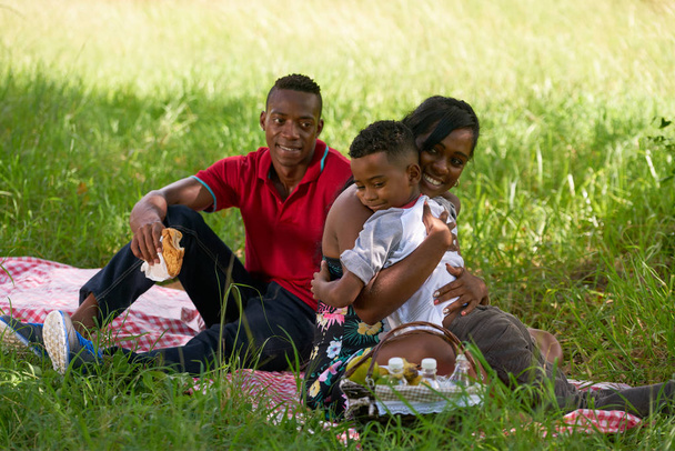 ailesi şehir Park piknik sırasında - Fotoğraf, Görsel