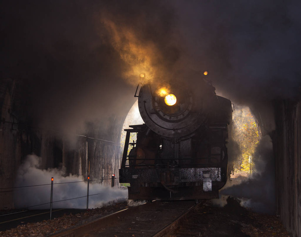 parní lokomotiva vstoupí do tunelu - Fotografie, Obrázek