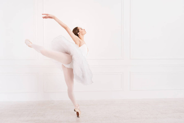 Fabulous ballerina standing on toes - Foto, Imagem