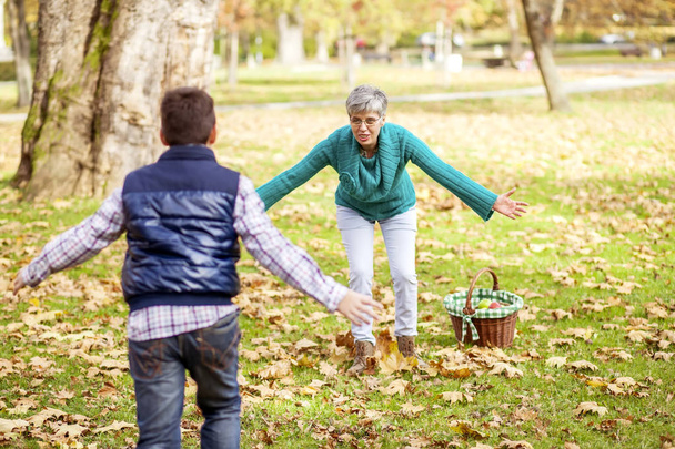 Boy running to grandmother in the park - Foto, immagini