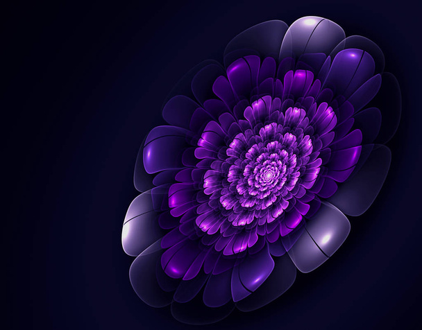 Abstraktní fraktální květ - Fotografie, Obrázek