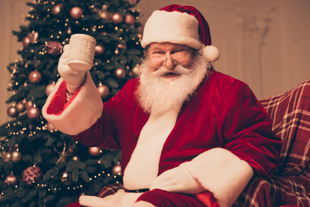 Cheerful santa claus in red costume sitting near pine and holdin - Foto, Imagem