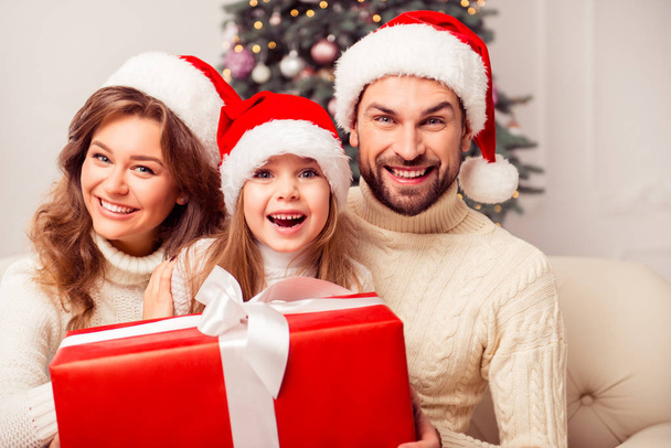 Happy amased cheerful family in santa hats with big gift - Foto, Bild