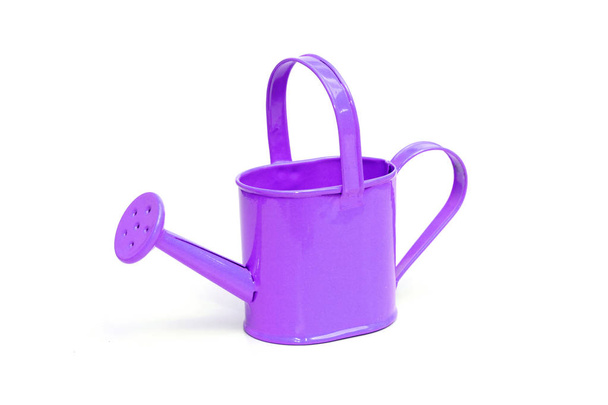 Violet gieter - Foto, afbeelding