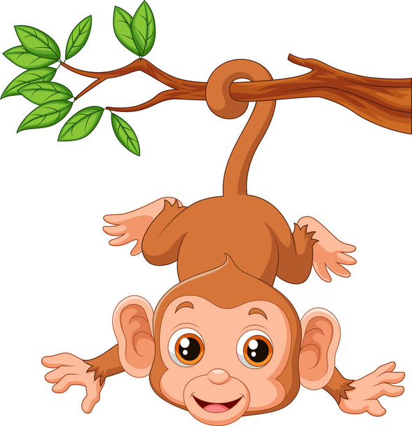 Söpö apina roikkuu puussa - Vektori, kuva