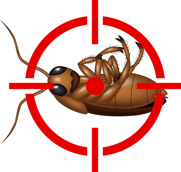 Cockroach on Target Icon - Vector, Image