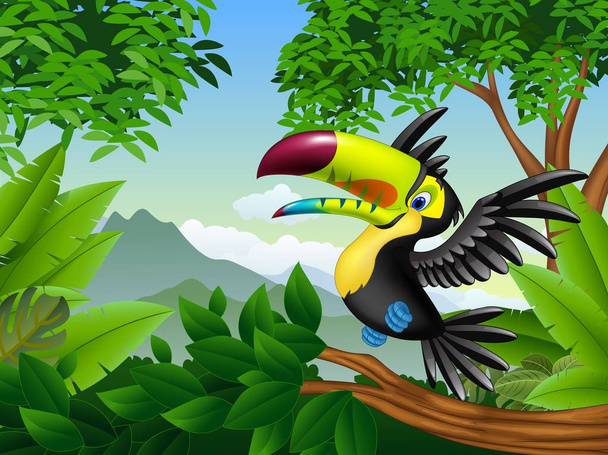 Cartoon tucano na selva
 - Vetor, Imagem