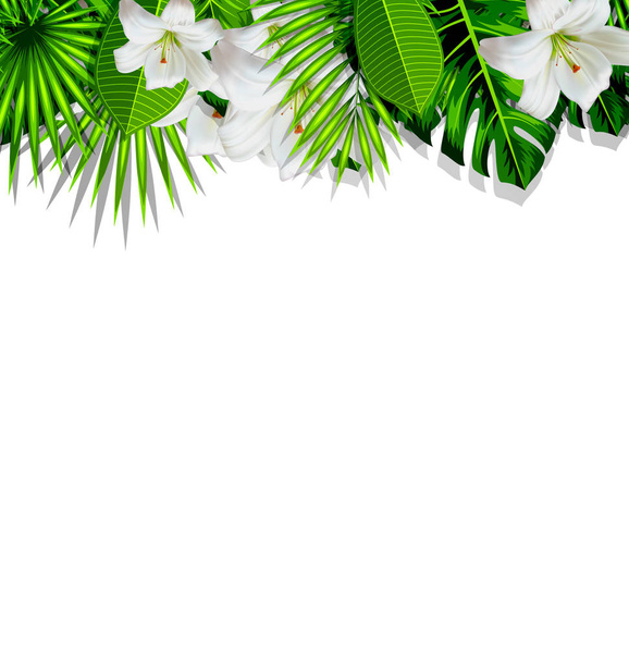 Frame branch tropical leaves and white flowers lily - Foto, immagini