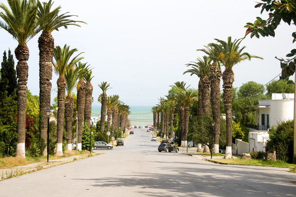 bulwar z dworca kolejowego do Morza Śródziemnego rue dag hammarskjoeld carthage hannibal tunis Tunezja - Zdjęcie, obraz