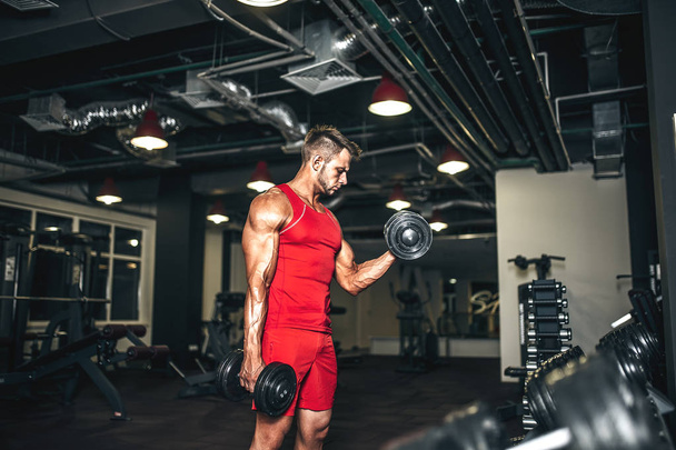 Determined bodybuilder lifting heavy black dumbbells at the gym. - Fotografie, Obrázek