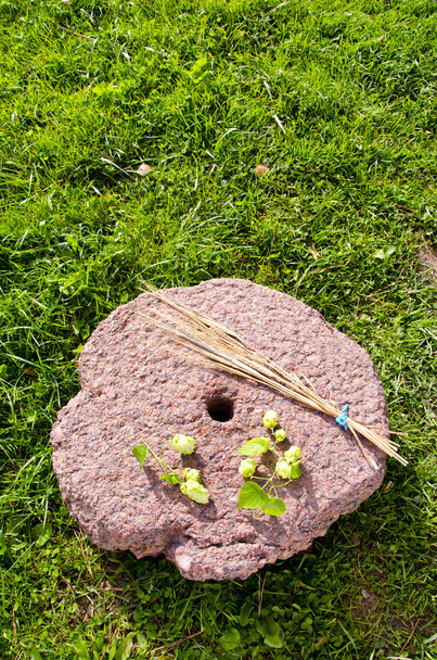 Componentes de cerveja hop e cevada em pedra de moinho
 - Foto, Imagem