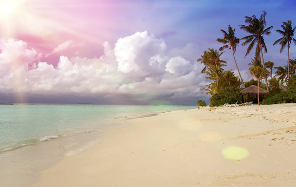 Maldives. Soleil à travers les nuages éclairer la plage avec des palmiers
 - Photo, image