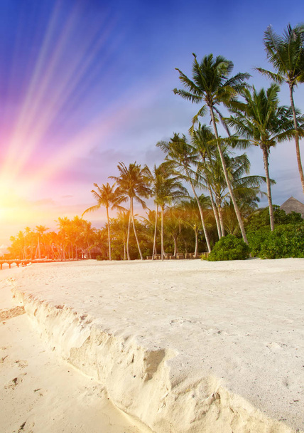 Malediven. Sonnenschein durch Wolken erhellen den Strand mit Palmen - Foto, Bild