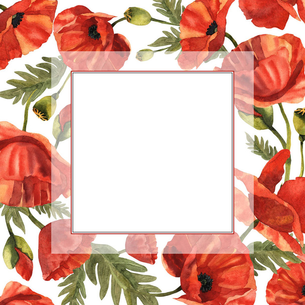 Wildflower poppy flower frame in a watercolor style isolated. - Фото, изображение