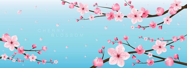 reális vektor cseresznyevirág, sakura, Japán - Vektor, kép