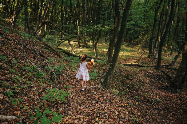 girl running in the woods holding a toy bear in hand - Photo, Image