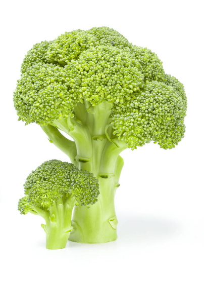 Florete de brócoli aislado sobre un recorte de fondo blanco
 - Foto, imagen
