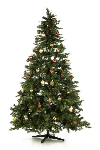 Full length christmas tree - Φωτογραφία, εικόνα