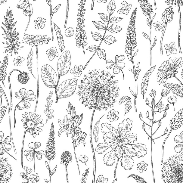 Seamless pattern with wildflowers - Vecteur, image