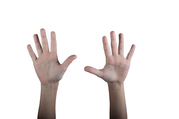 Dos manos humanas mostrando las palmas hacia arriba. Aislado
 - Foto, imagen