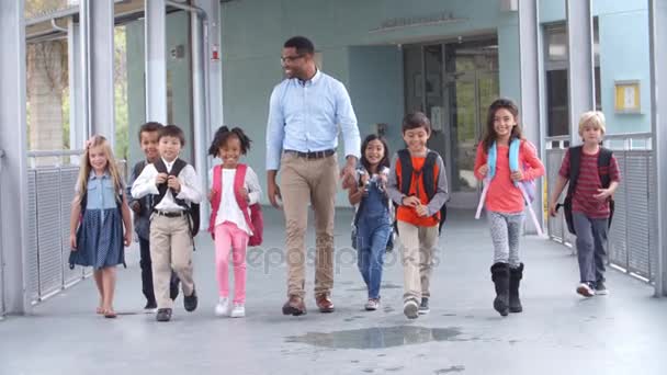 Mannelijke leraar wandelen in gang - Video