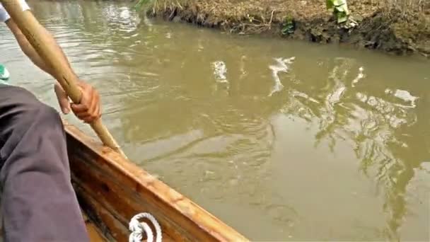 veslovat na lodi na řece na boční pohled 4k - Záběry, video