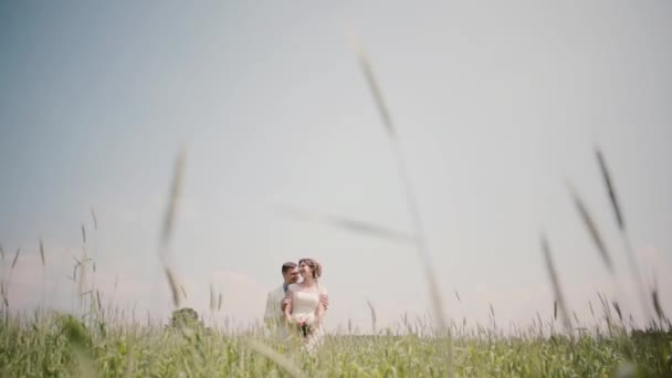 Loving couple standing close to each other in wheat field on their wedding day, Bride and groom in wedding outfits - Materiał filmowy, wideo