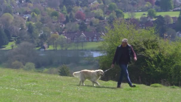 Man Takes Dog For Walk - Materiał filmowy, wideo