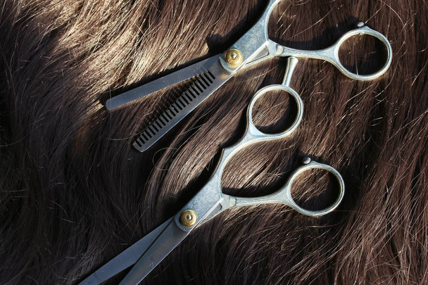 Перукарські ножиці на волоссі
 - Фото, зображення