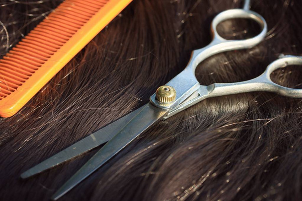 Barber scissors on hair - Photo, Image