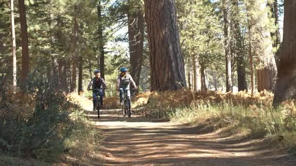 couple riding bikes on a forest trail - 映像、動画