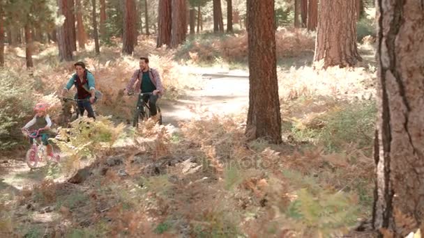 Male couple and daughter cycling in a forest - Video