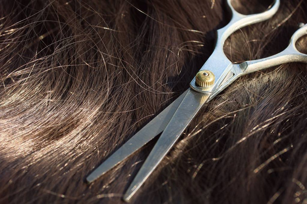 Парикмахерские ножницы на волосах
 - Фото, изображение